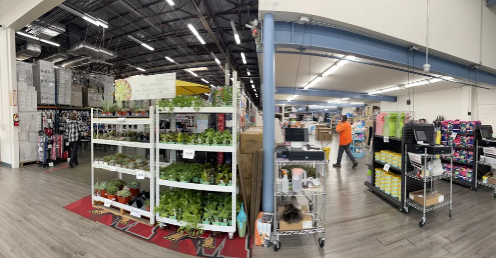 Buy Low Wholesale business photo