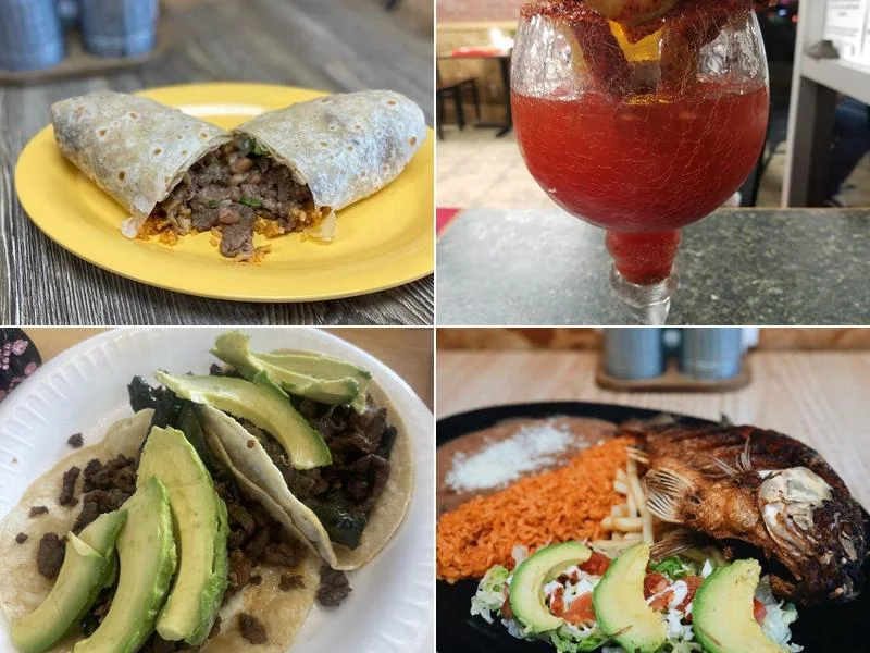 El Toro Loco Grill business photo