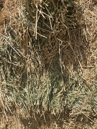 Mead Valley Feed, business photo 2