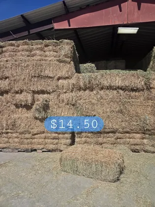 Mead Valley Feed, business photo 3