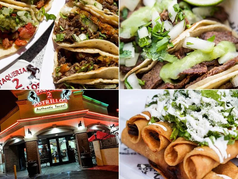 Taqueria 2 Potrillos business photo