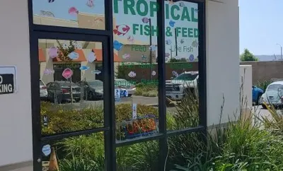 Tropical Fish and Feed, business photo 1