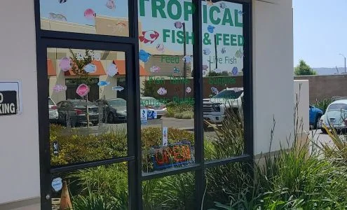 Tropical Fish and Feed business photo