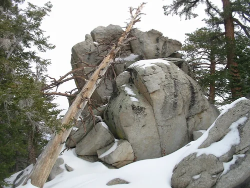 Mount SanJacinto Round Valley Trail, Mount San Jacinto State Park