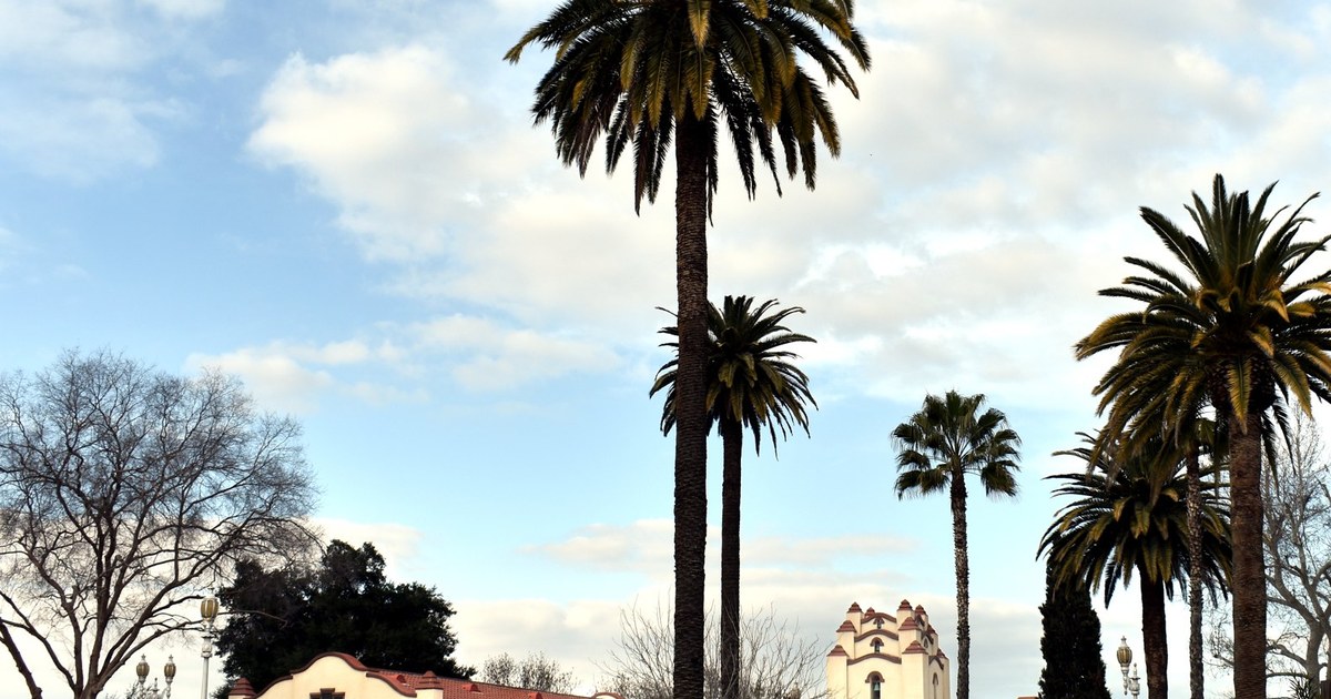 Illustrative cover for LOCAL Perris